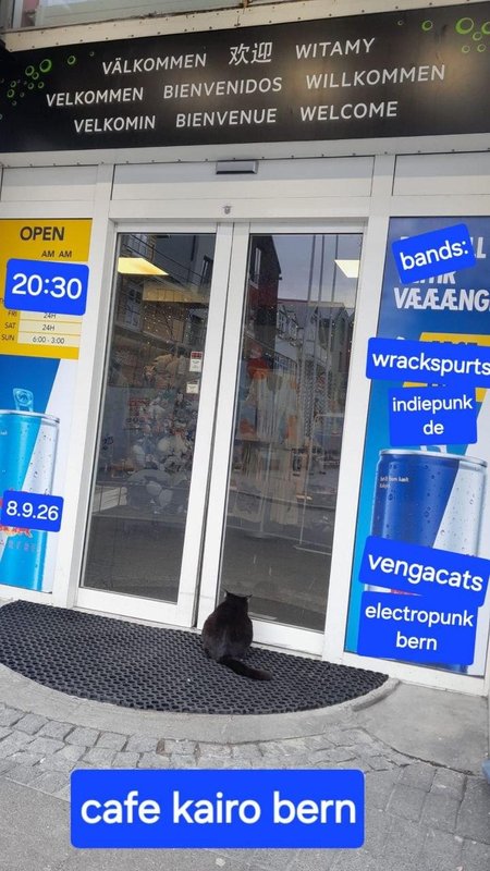 VÆÆNG, wrackspurts, vengaCats