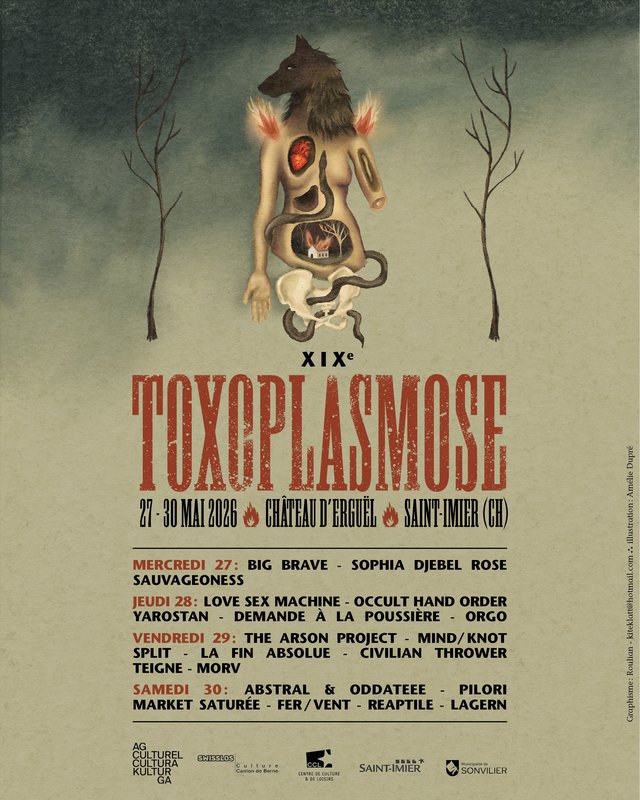 Toxoplasmose Festival day3