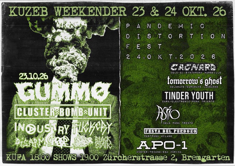 Pandemic Distortion Fest